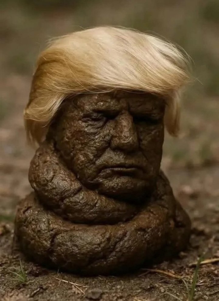 The largest piece of shit ever is running the United States into the ground.