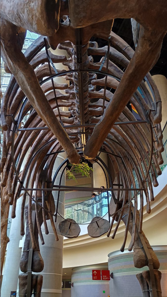 Inactivecamper's tweet image. エレンを見上げたような気になったぜ