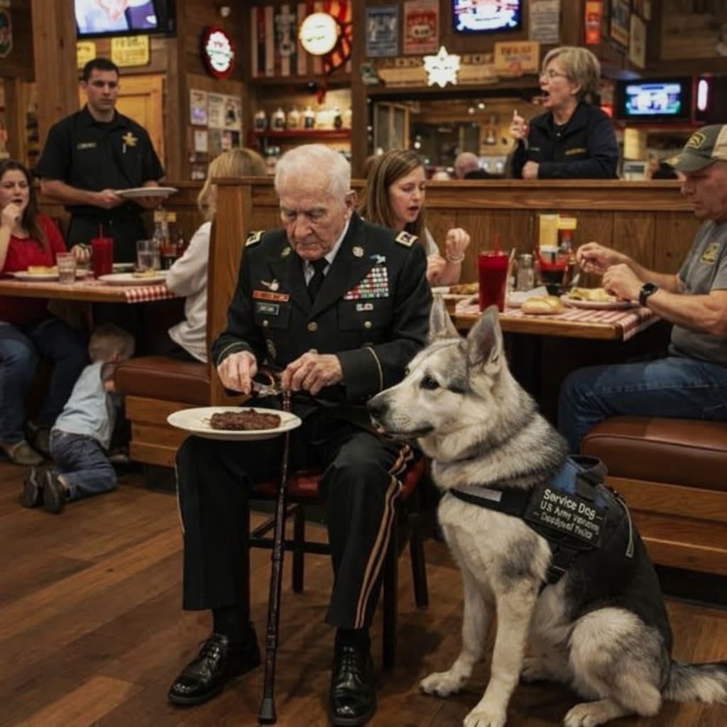 “We Don’t Allow Aggressive Breeds Here.” That’s what the restaurant manager said when he looked at my service dog, Delta and asked us to leave, because the customers were uncomfortable.

Do you know what makes me uncomfortable? Delta spent three years in a war zone, while those