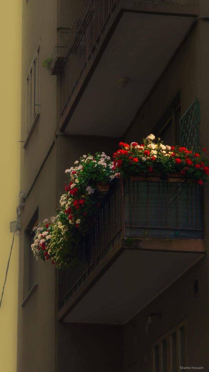 artindetails's tweet image. beauty is everywhere