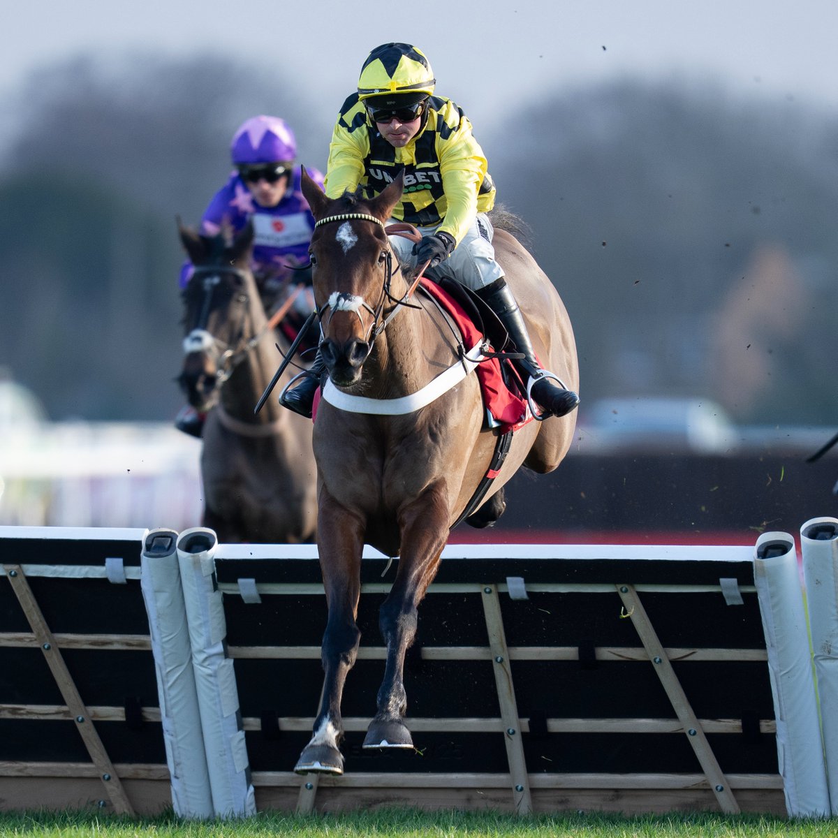 RacingPost's tweet image. Sir Gino has walked onto the horse ambulance after being pulled up in the Unibet Hurdle

Our fingers are crossed for him 🤞
