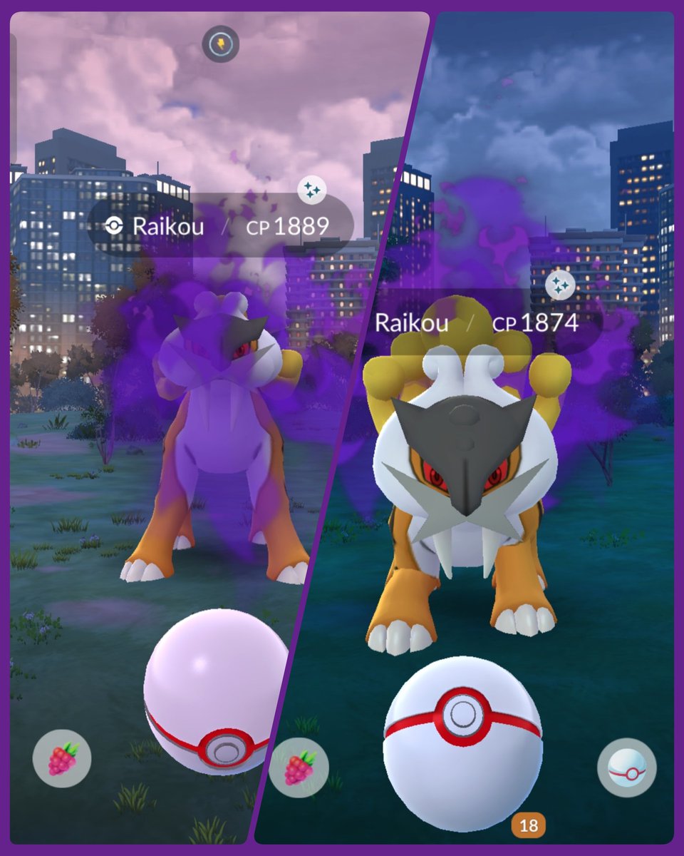 Just remotes today, but 20 was enough. I'm so happy with two shinies ✨🤩✨🤩✨ Thanks my active raid friends 🫶 #PokemonGO #ShinyPokemon