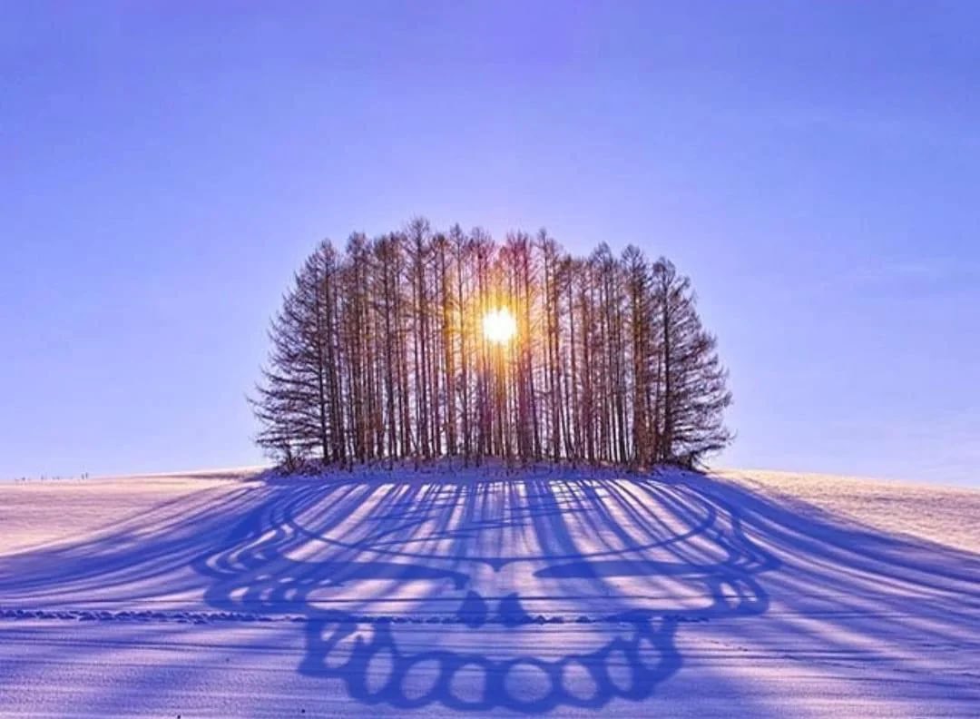 wallstreetdeadahead tweet media