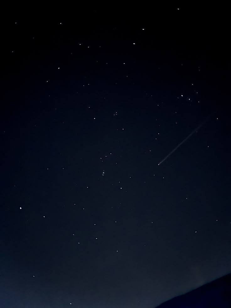 artindetails's tweet image. stargazing