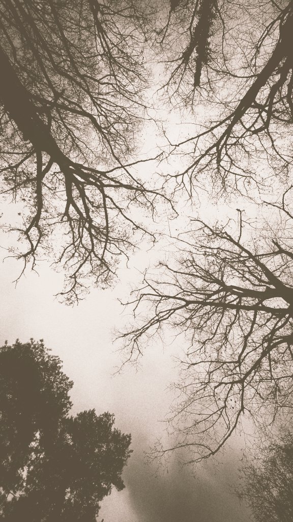 "Bir zamanlar dünyâ sandığım bahçeyi
Ayrıkotları, dikenler bürümüş."