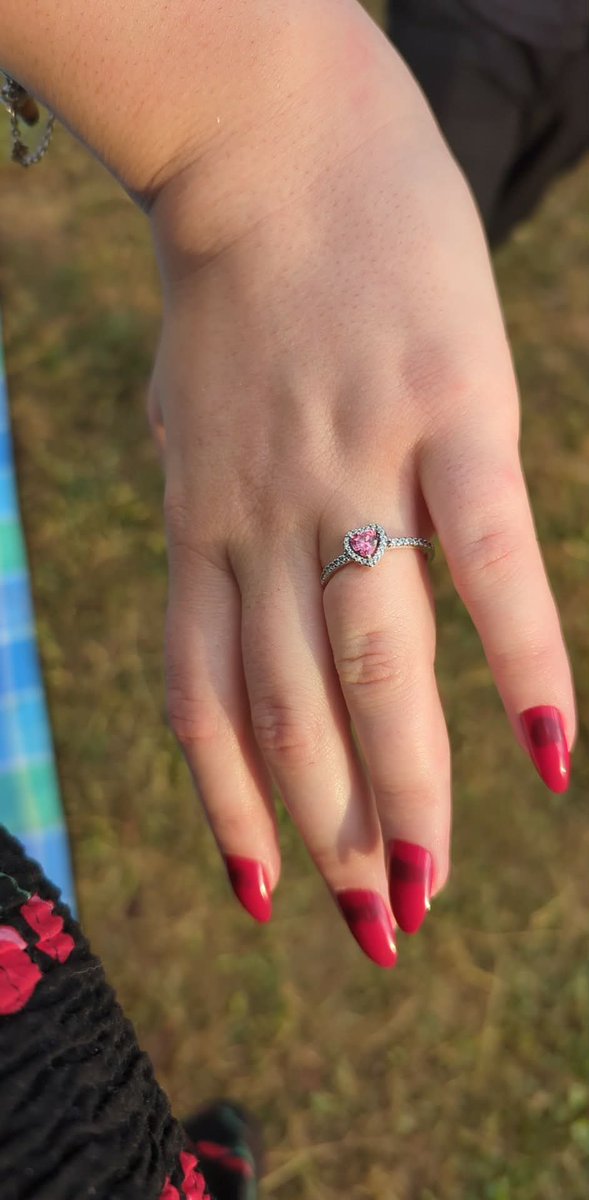 Timothy Stebbing tweet media