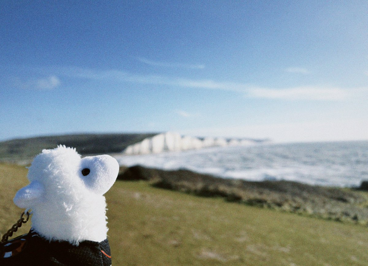 fluffy alpaca and seven sisters