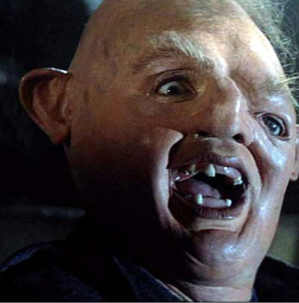 כאשר אתה מרכיב פאזל מכל הקרופים שיש לה במדיה