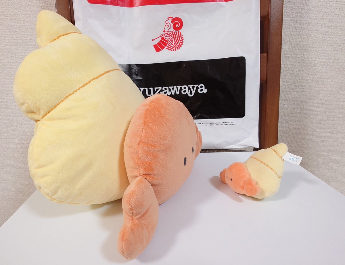 godBucho's tweet photo. つぶらな瞳の水族館 やどかり
すこしおっきめ ぬいぐるみ を自作しました！！🐚🦀
#つぶらな瞳の仲間達 #つぶ活 #つぶらー https://t.co/HLrXVe81dg