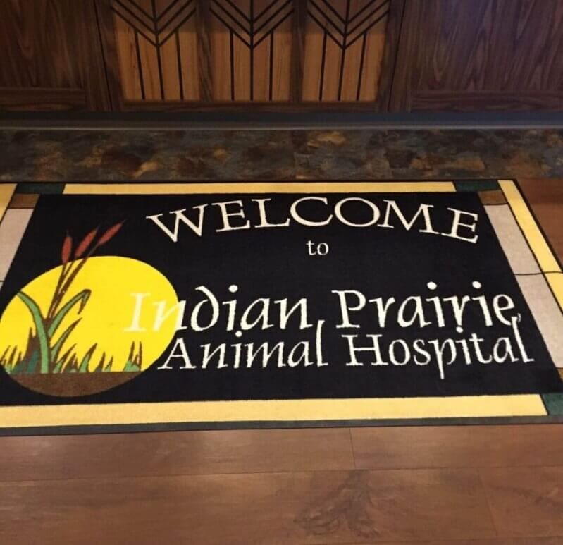 RugRatsInc's tweet photo. What does your entrance say about your business? 

From real estate offices to automotive shops, Rug Rats provides durable, professional-grade custom rugs for every industry.

🚀 10-day production 🎨 FREE design proofs 🚚 Nationwide delivery

Find your industry & get a quote: 🔗 https://t.co/8LPVFo9Dkx

#CustomRugs #Branding #SmallBiz #InteriorDesign #RugRats