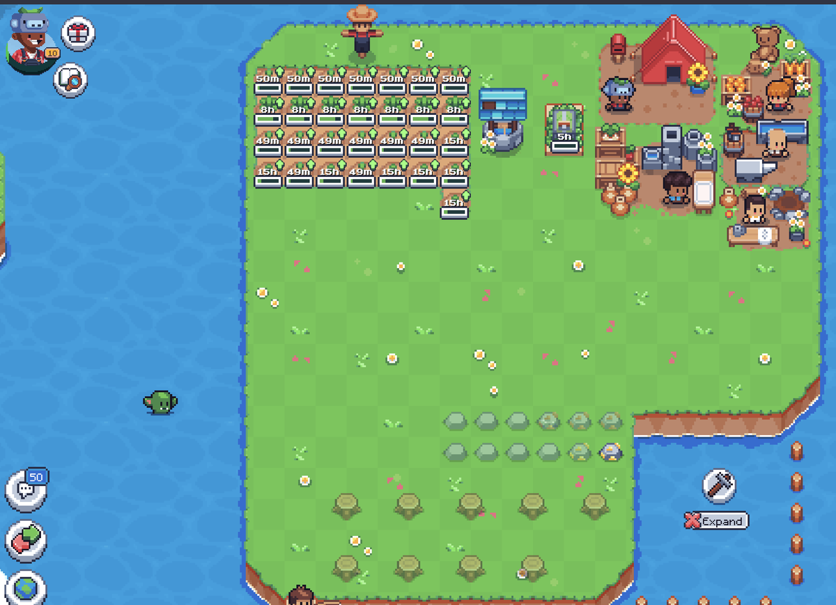 codewithud's tweet image. #SunflowerLandFarm