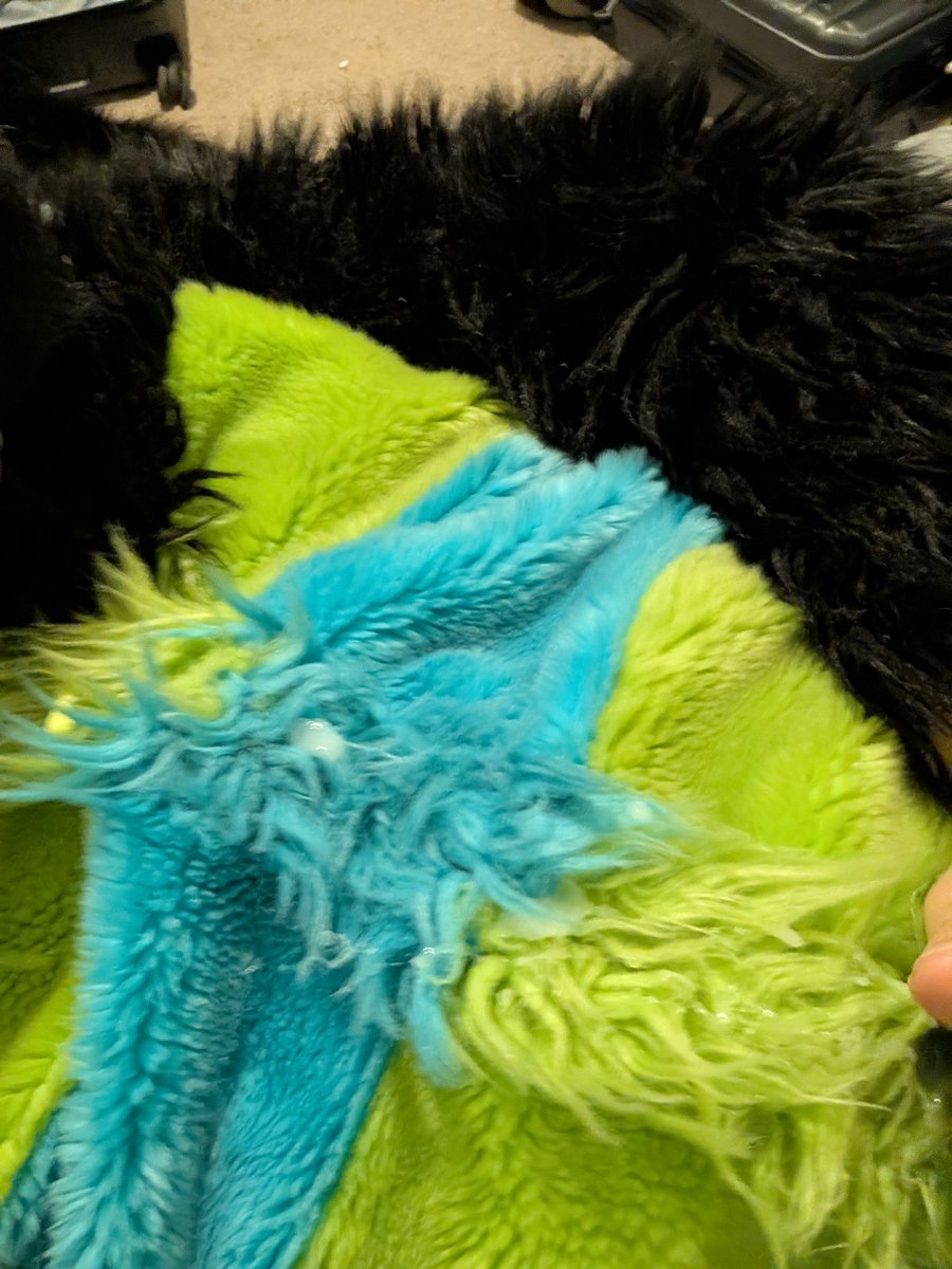 ShadowisLewd tweet media