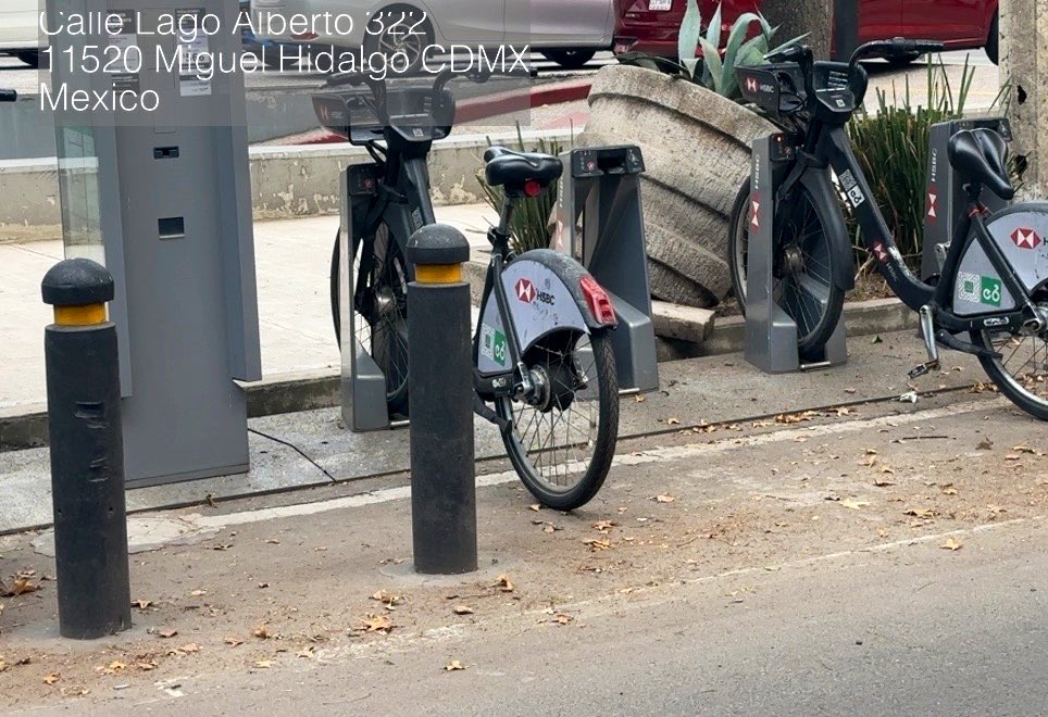 #LagoAlberto 🚴🏻‍♂️🌳 tweet media