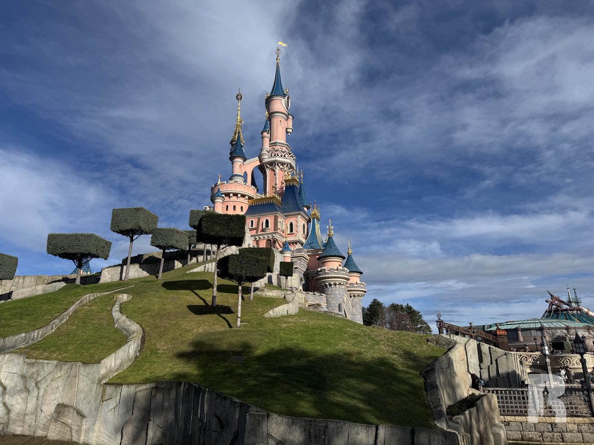 DLP Report tweet media