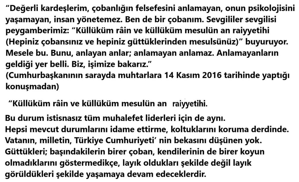Hamdi KAYNAK 🇹🇷 (@hamdikaynak_tr) on Twitter photo 