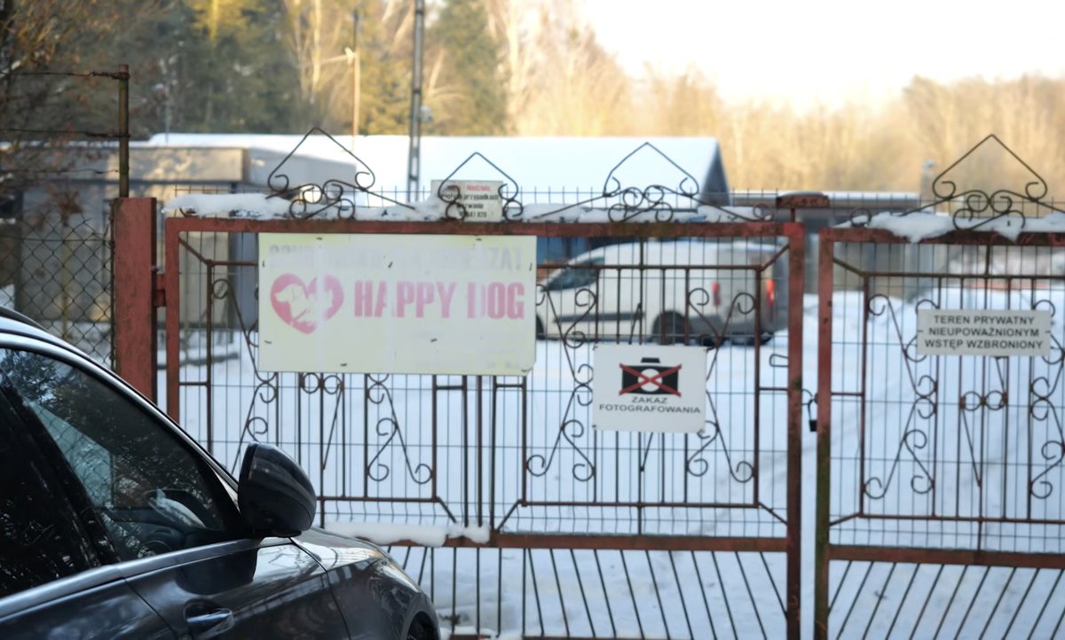thepolandnews_'s tweet photo. ❗️| Powiatowy Lekarz Weterynarii zamknął schronisko w Sobolewie po alarmach wolontariuszy i aktywistów o złych warunkach oraz zaniedbaniach wobec zwierząt. 

„Nie będzie taryfy ulgowej dla tych, którzy skazują zwierzęta na cierpienie”- zapewnił premier Donald Tusk. https://t.co/pH09z8hcI7