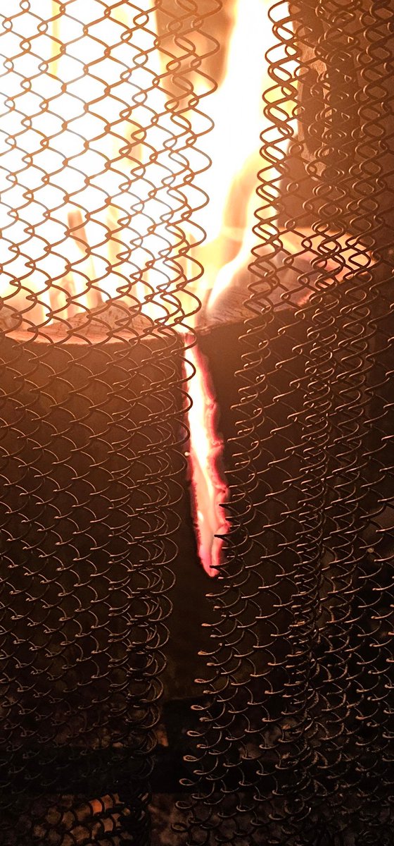 Samgularity tweet media