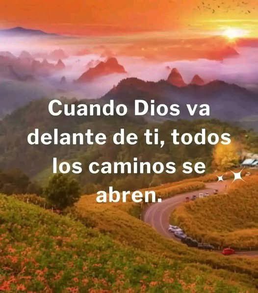 fernand81566062's tweet image. 