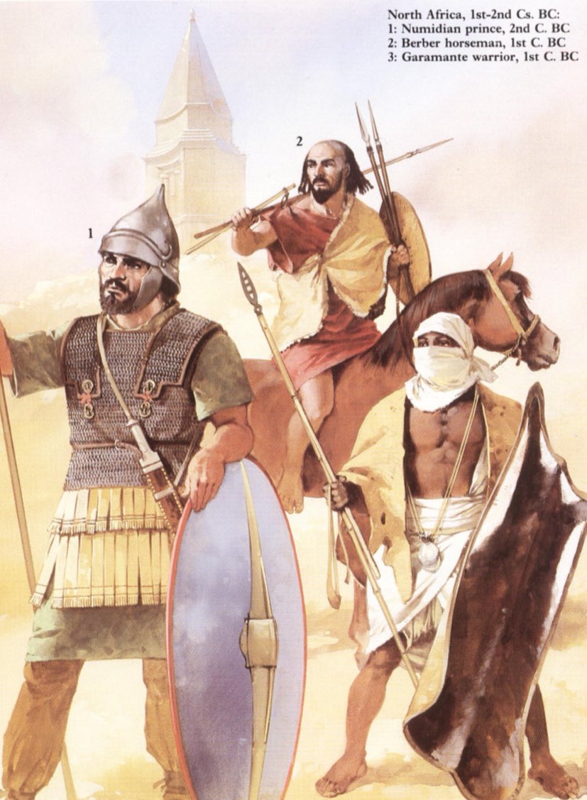 Berber History & culture Defense ᛯ tweet media