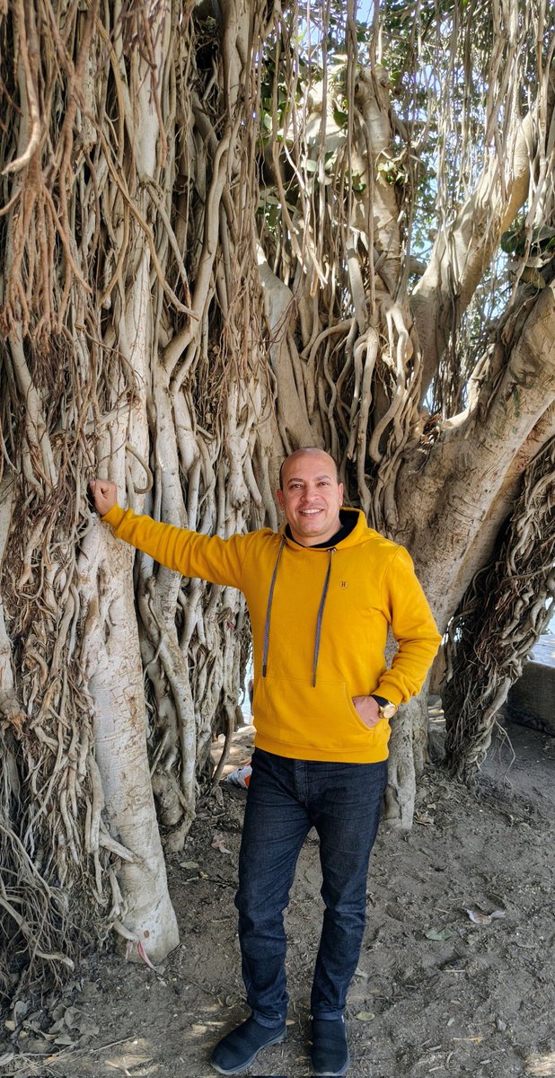 I learned that fate proceeds at hours decreed,

And rushed desires are tricks the soul to mislead. 🌴

أدركتُ أنَّ الأقدَار تَمضي في مواعِيدِها

وأنَّ استِعجال الأمنِيات خدعةٌ تُربِك الرُّوح. 🦋