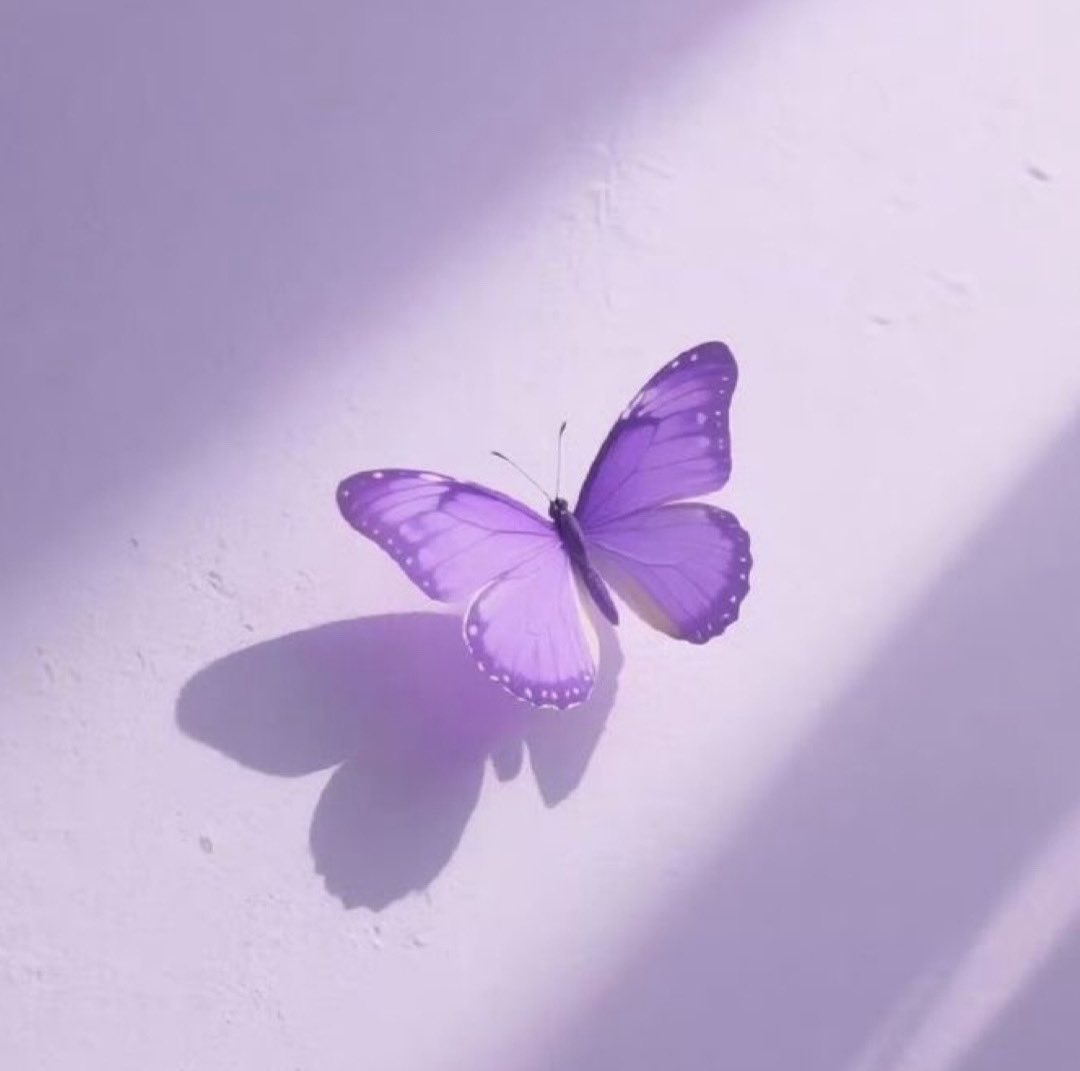 Natilovey's tweet photo. Hi! Long time no see 💜 I want to share will y’all a piece of my heart. Today I want to share a few thoughts on empathy. I recently came across a post that reminded me that not getting a ticket to see BTS does not define your love for them. And that really stayed with me. (1/6) https://t.co/V92yzEg0TC