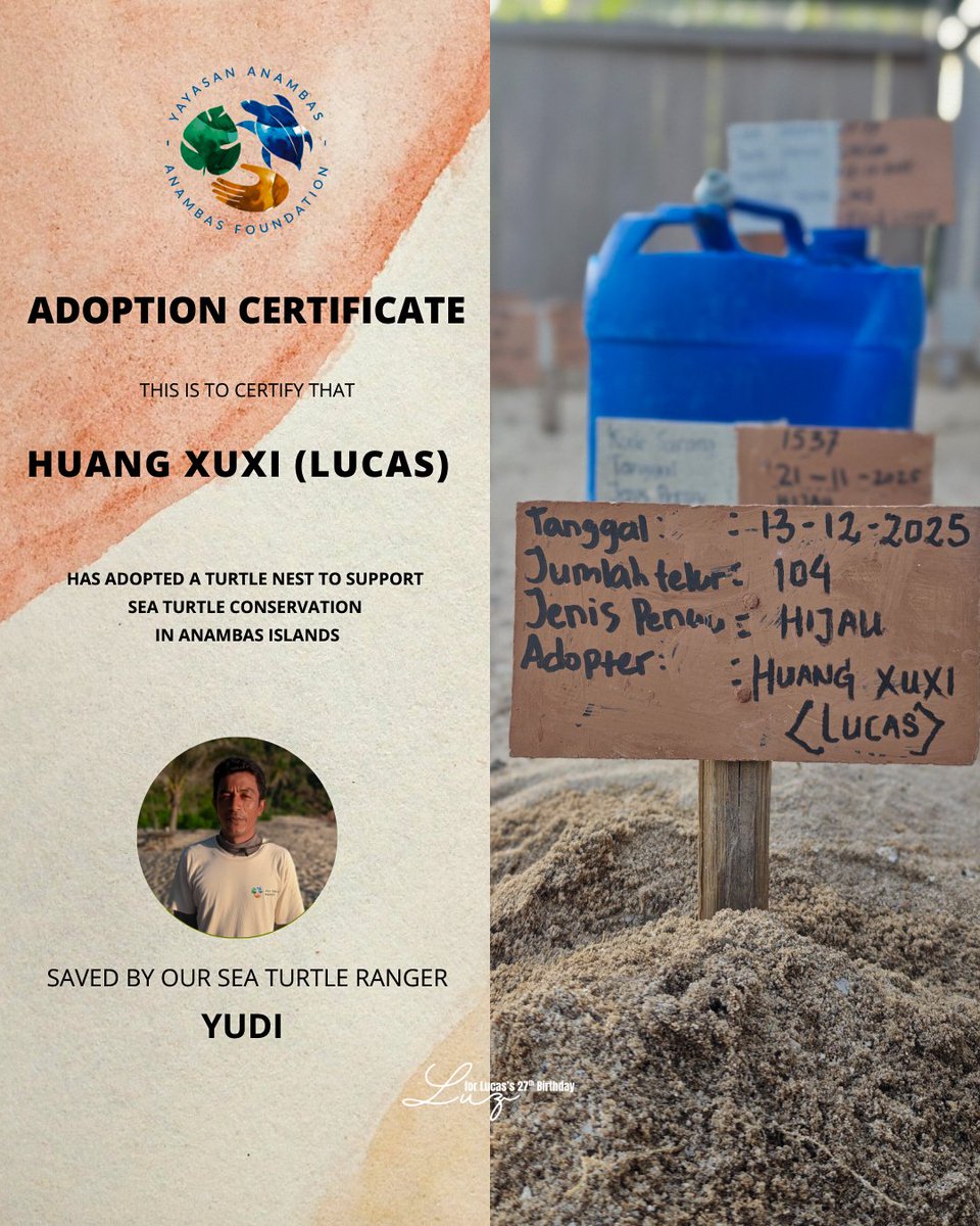 Liora 🌙 tweet media