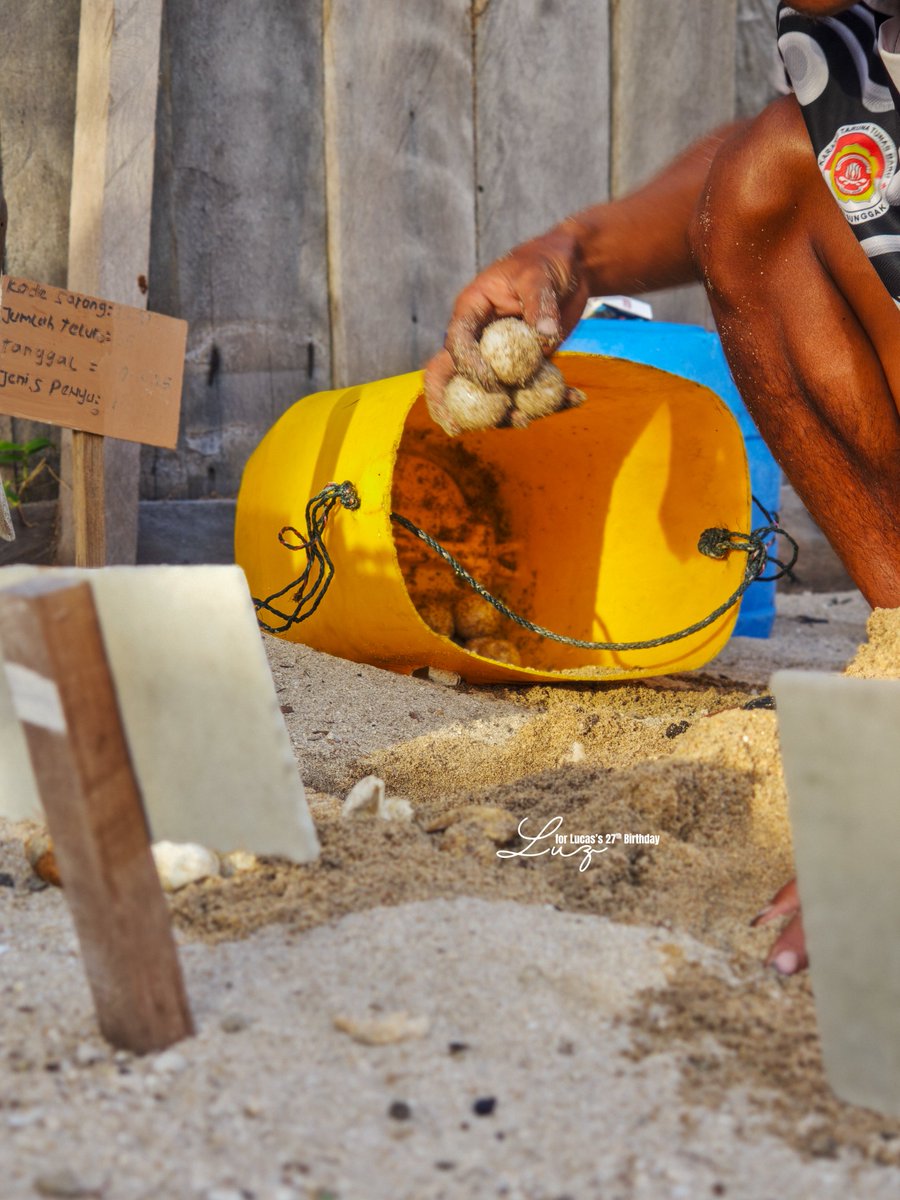 Liora 🌙 tweet media