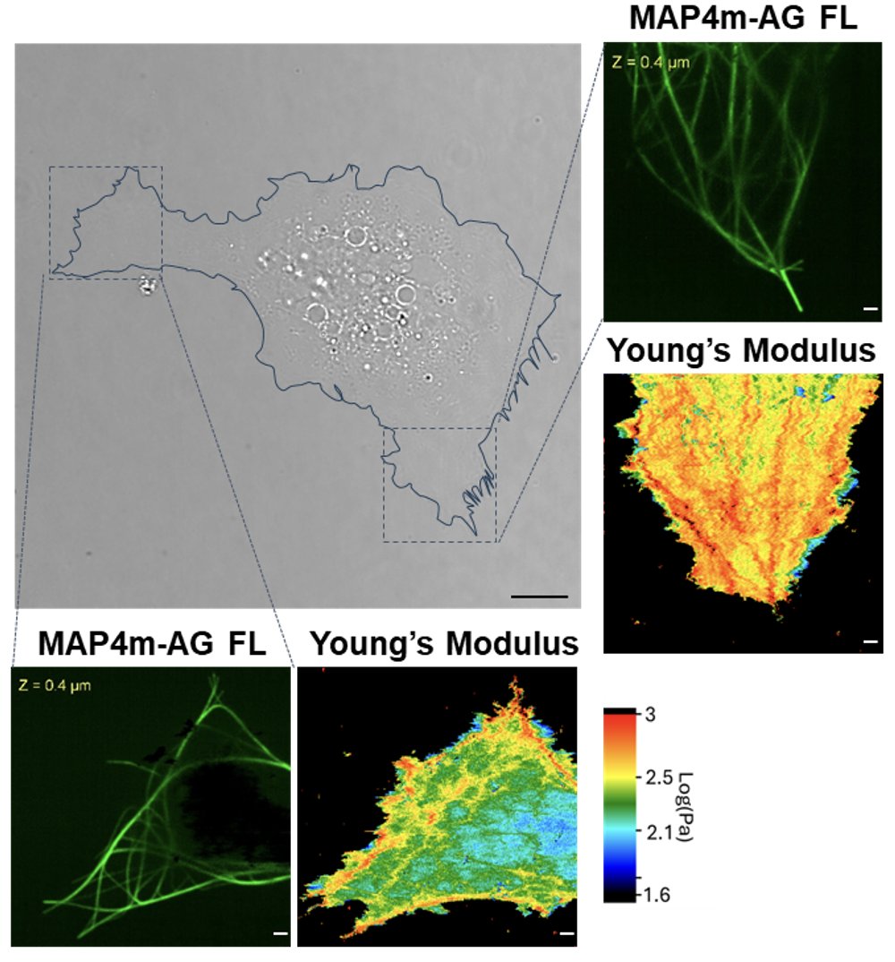 Hiroshi Inaba tweet media