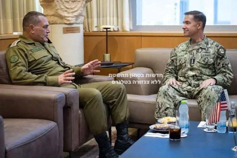 Middle East Observer tweet media