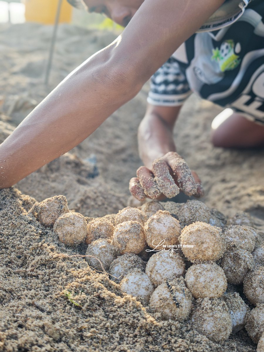 Liora 🌙 tweet media