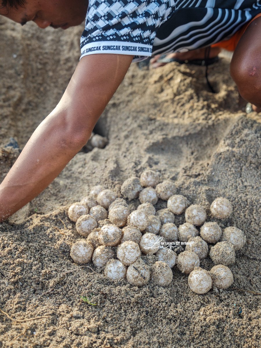 Liora 🌙 tweet media