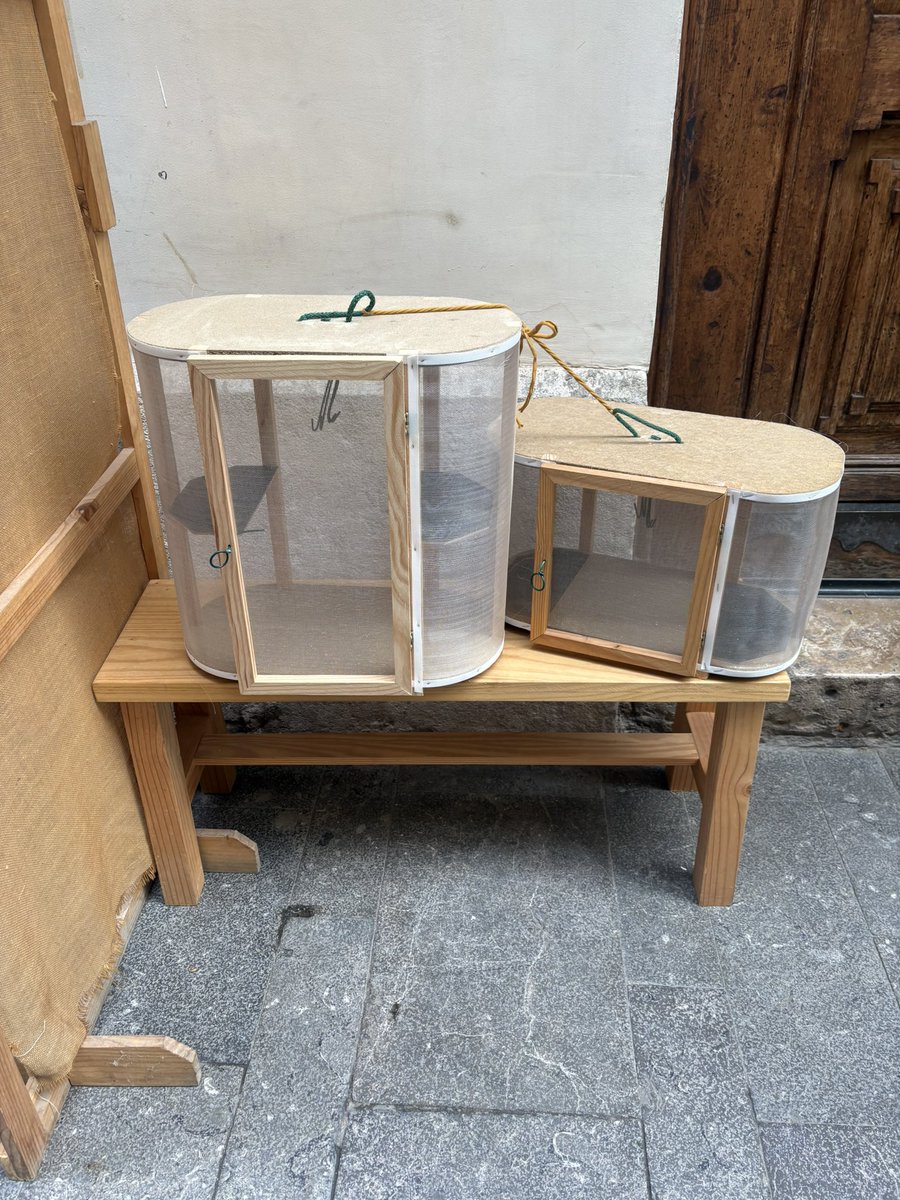 Feia temps que no en veia.