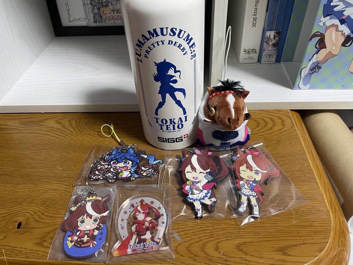 受験もほぼ終わったので少しお隣の地方へ行ってきました……！ テイオー