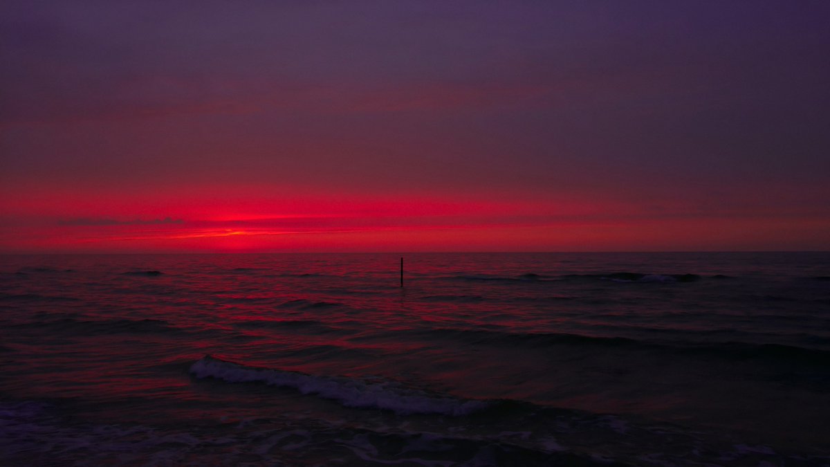 gardenofcolours's tweet image. 