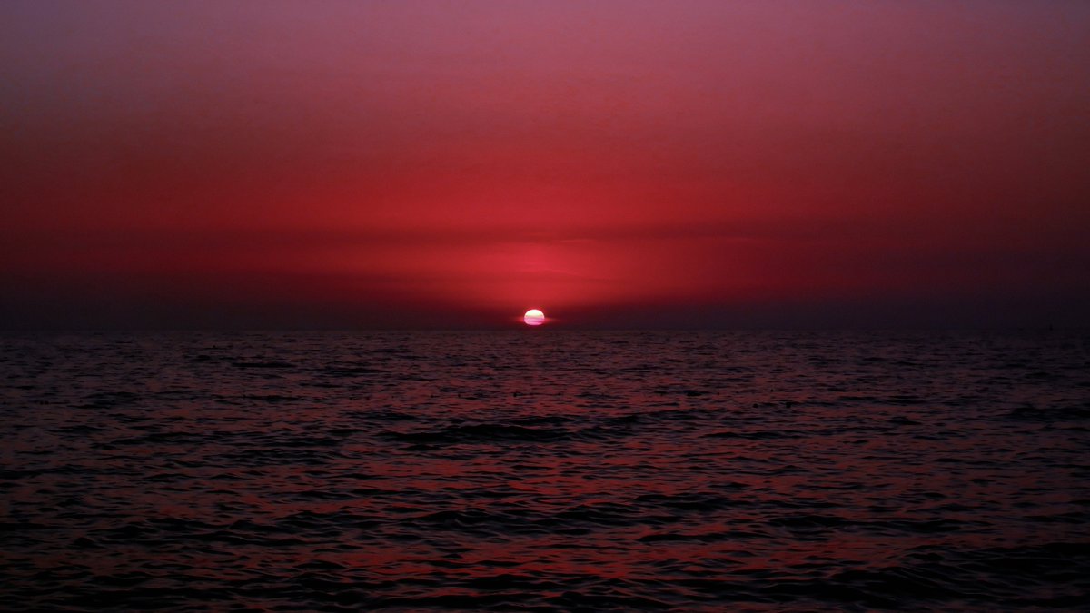 gardenofcolours's tweet image. 