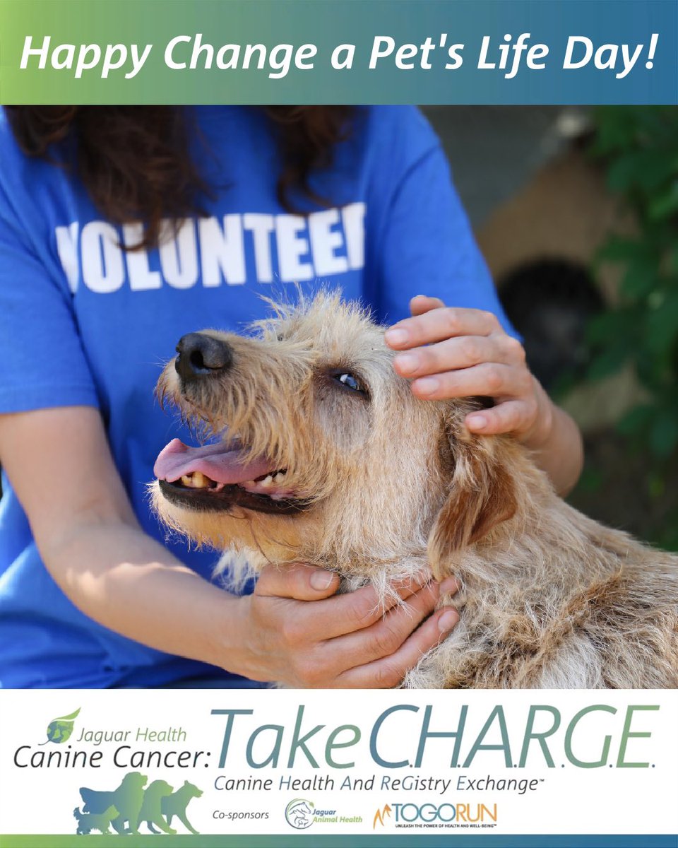 Take C.H.A.R.G.E. tweet media