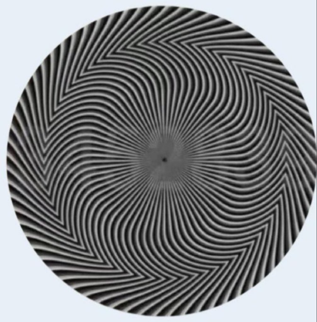 (Parody)Elon Musk tweet media