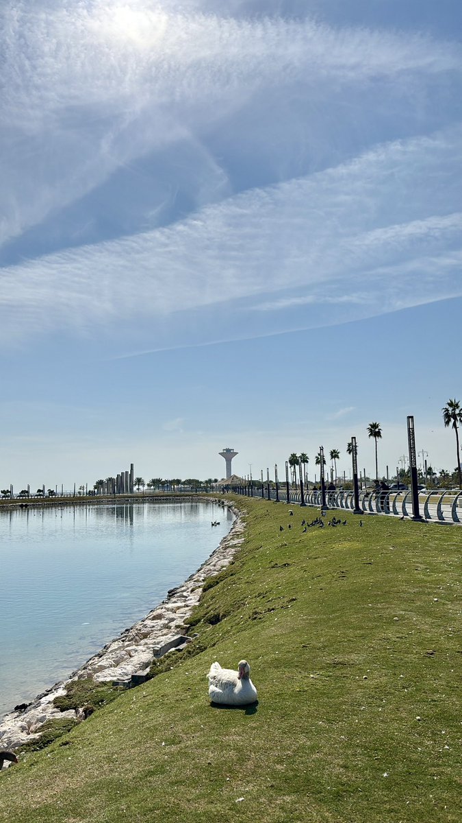 النُّور tweet media