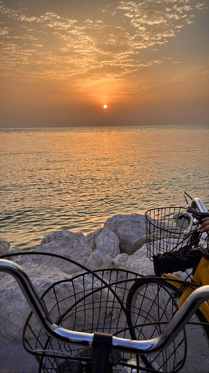 النُّور tweet media