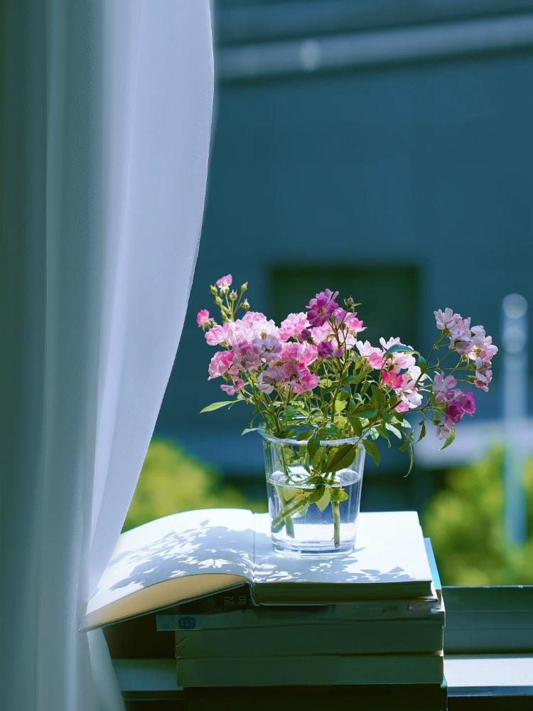 Aesthetics (@aestheticspost_) on Twitter photo 