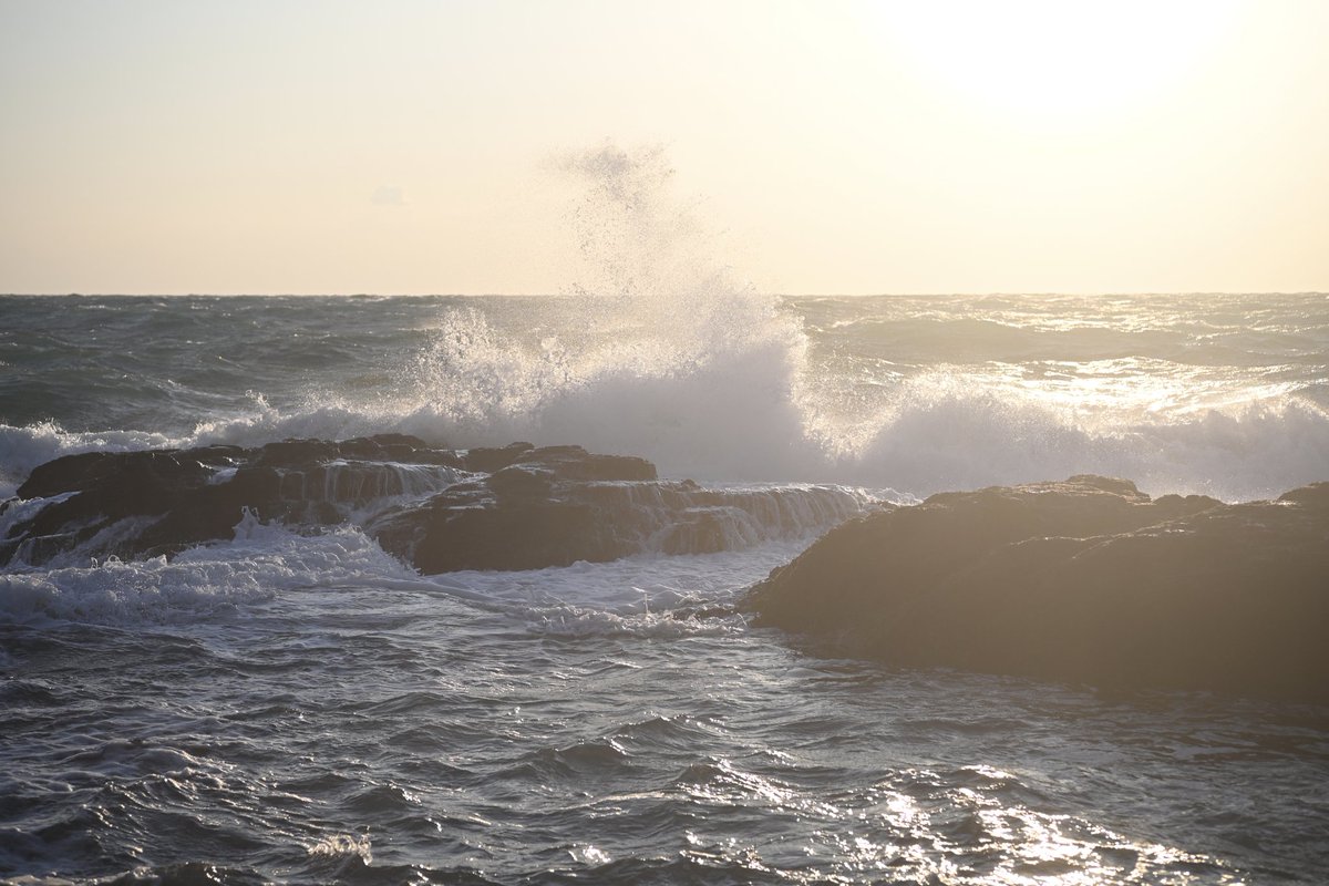 Nikon　Zf
Voigtlander heliar 75mm f2.5 ai