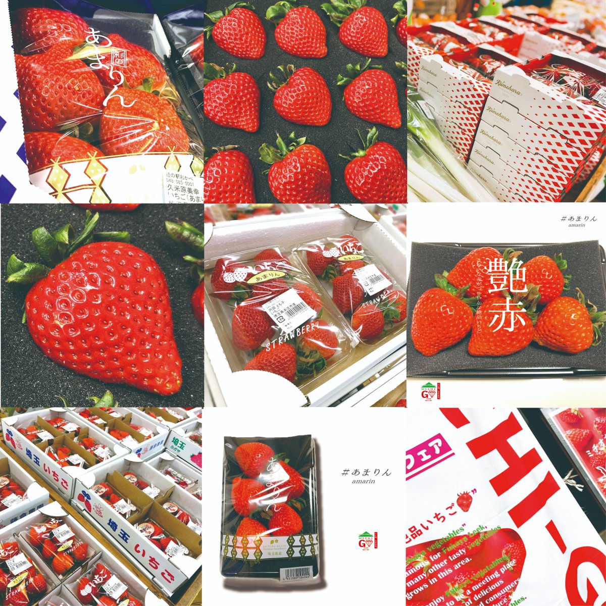 道楽 DOWLUCK シャンハイミキ はでいちご 道楽 DOWLUCK シャンハイミキ