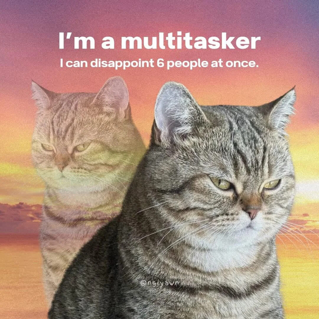 WholesomeMeme's tweet image. 