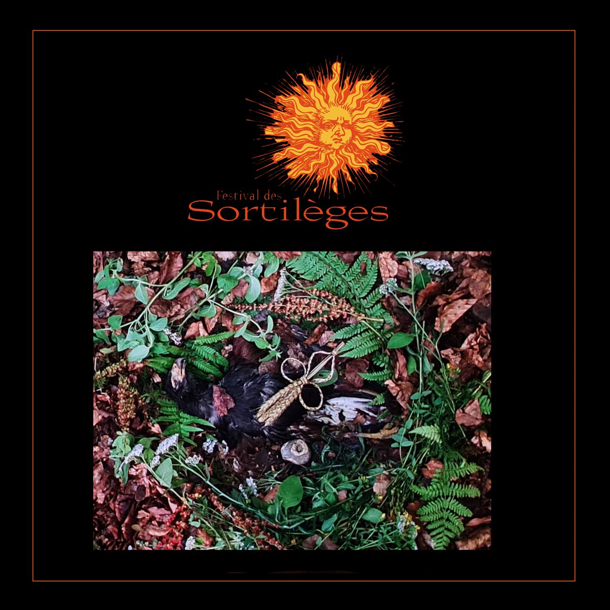 Festival des Sortilèges tweet media