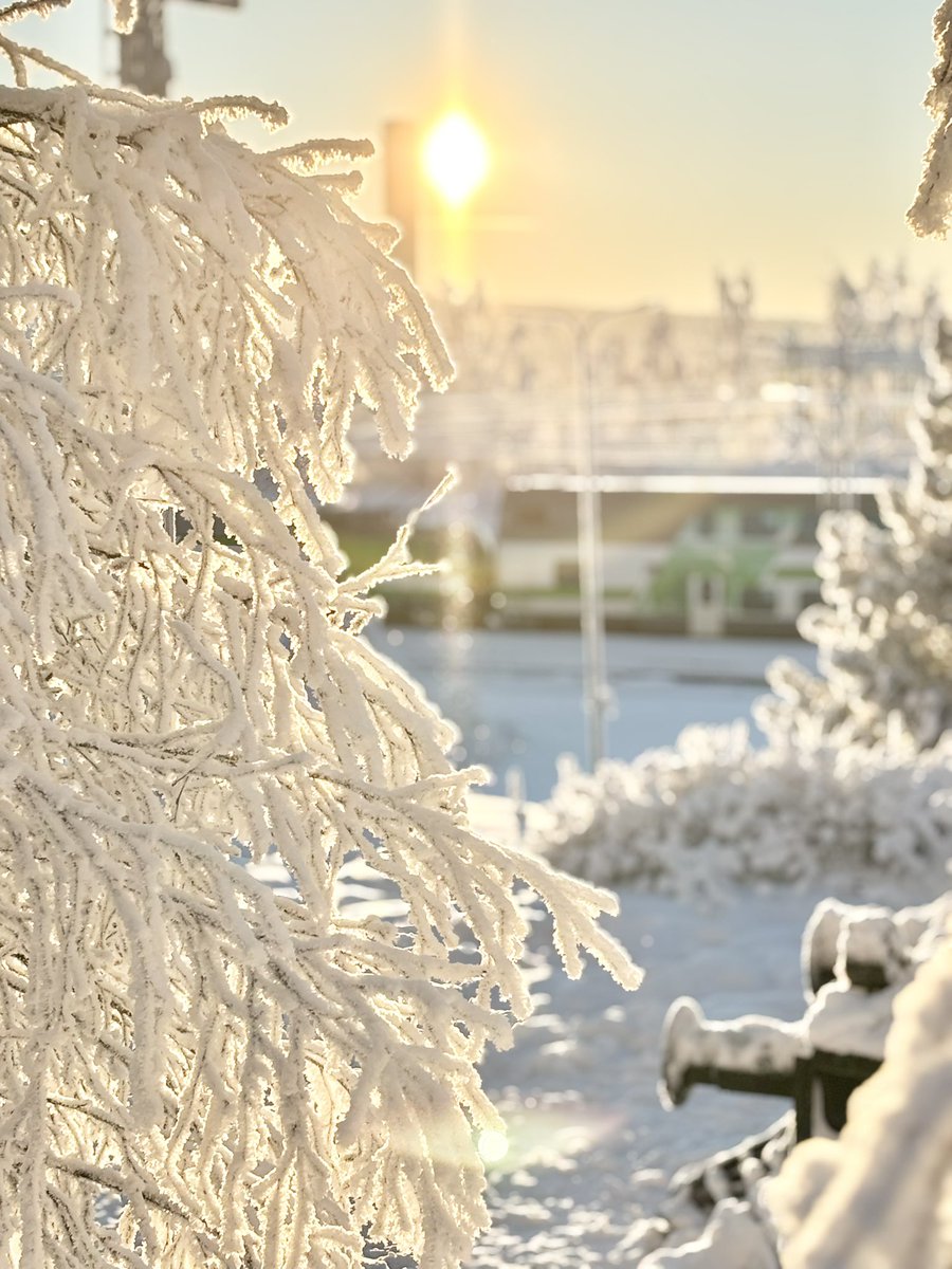 planetstroller's tweet image. 굿 모닝 from 로바니에미! 세상에 너무너무 아름답고 너무너무 신나요! 마지막 사진은 클릭해서 꼭 빛기둥을 보세요!