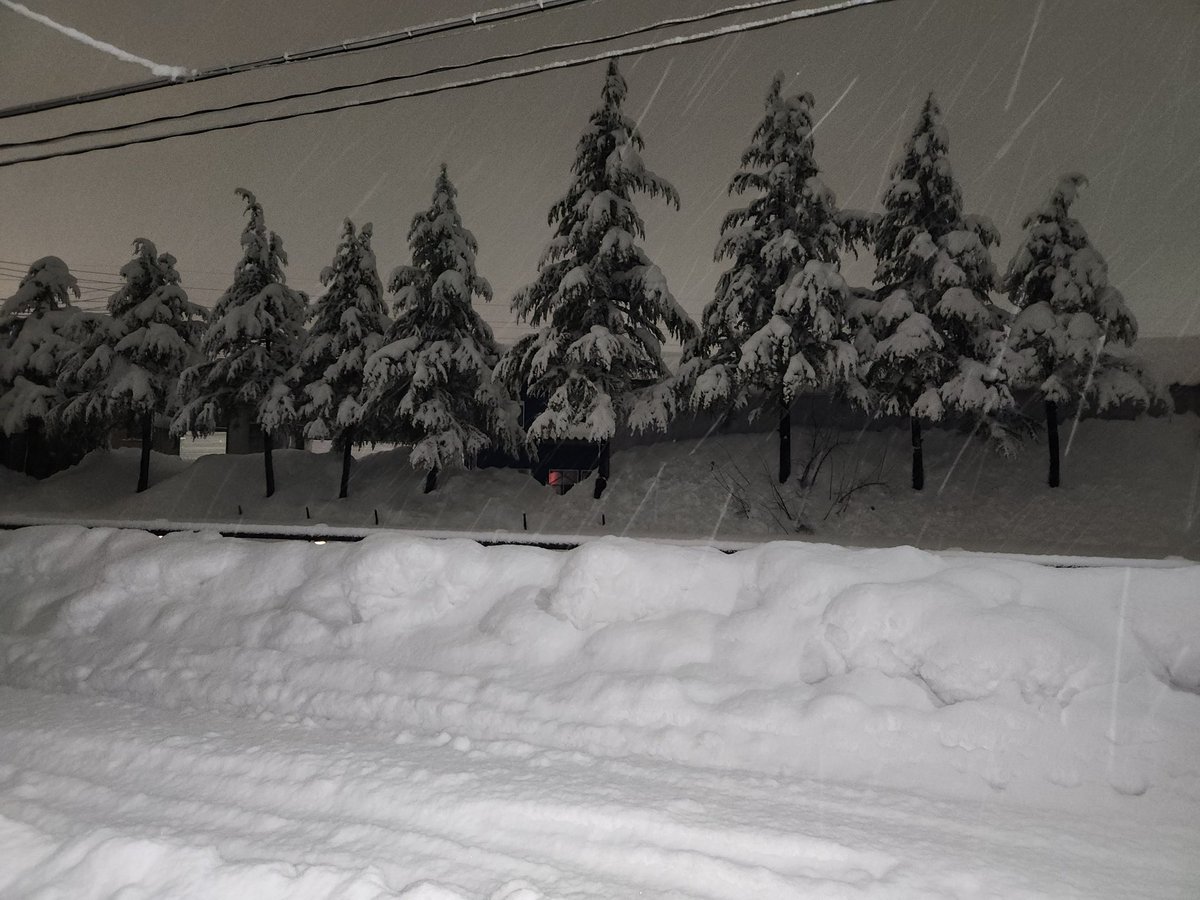 雪、ようやく小康状態に❄
明日も雪かきだなコリャ⛄️