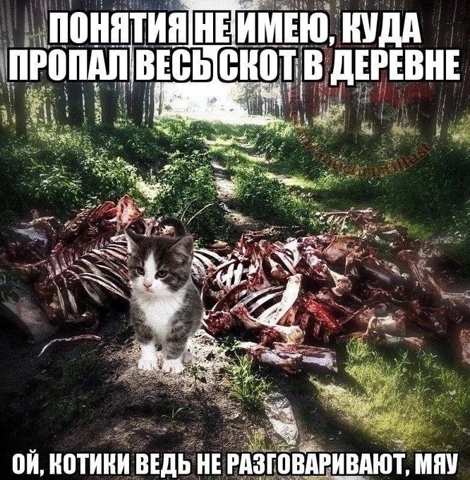 Классицизм и диспансеризация (@hagnir) on Twitter photo 