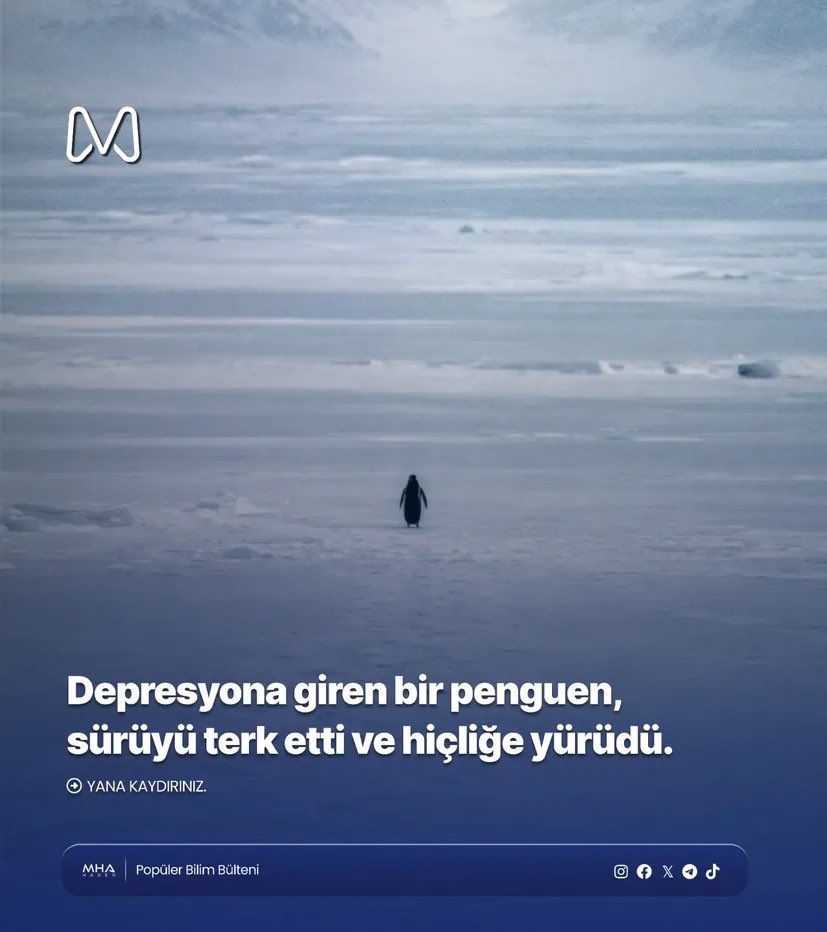 değişkenlerin ( ikizler yay balık başak ) 2,5 senedir çektiği ızdırabın görseli bu olurdu herhalde.. hiç değilsiniz ama bir hiç gibi hissetmenin yükü hep ağırdır