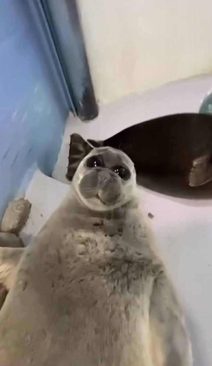 I can't call myself a teenager anymore ):