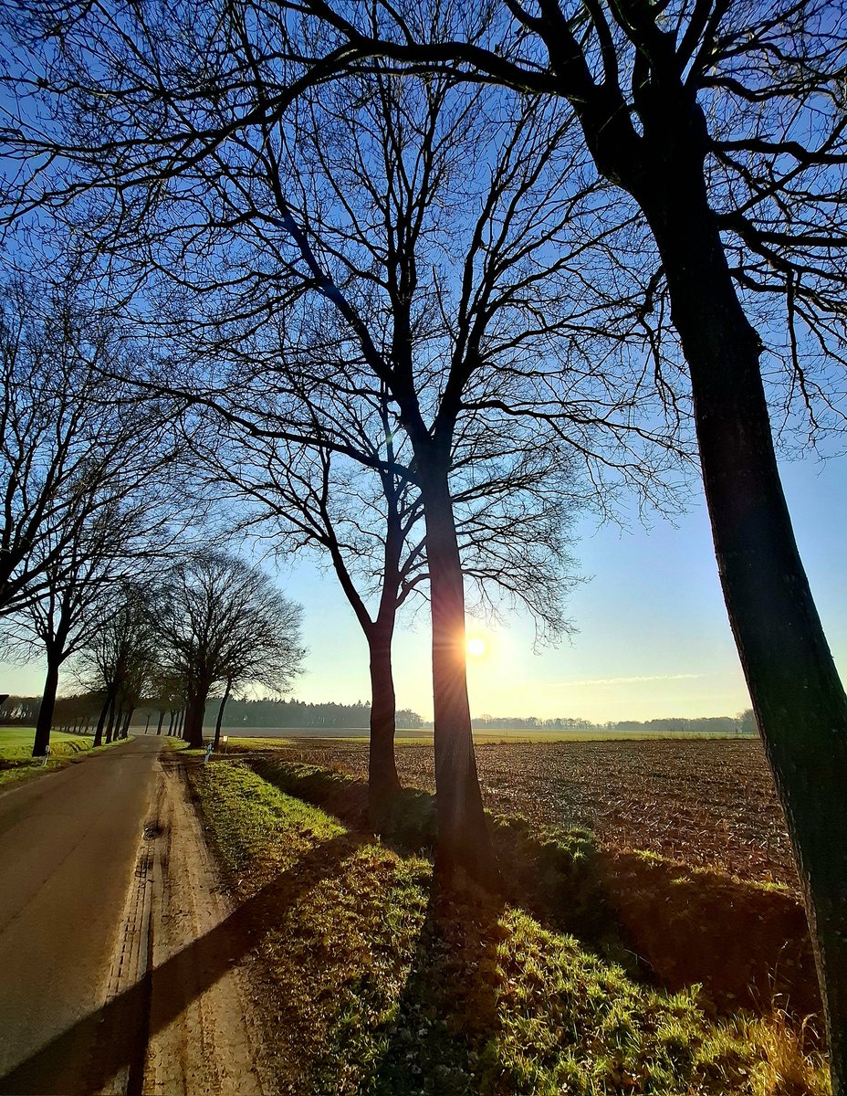 chriz31_07's tweet image. It’s “Simple Saturday”!

Please share a photo that simply brings you joy!

On the way..🚴‍♀️

#HappySaturday